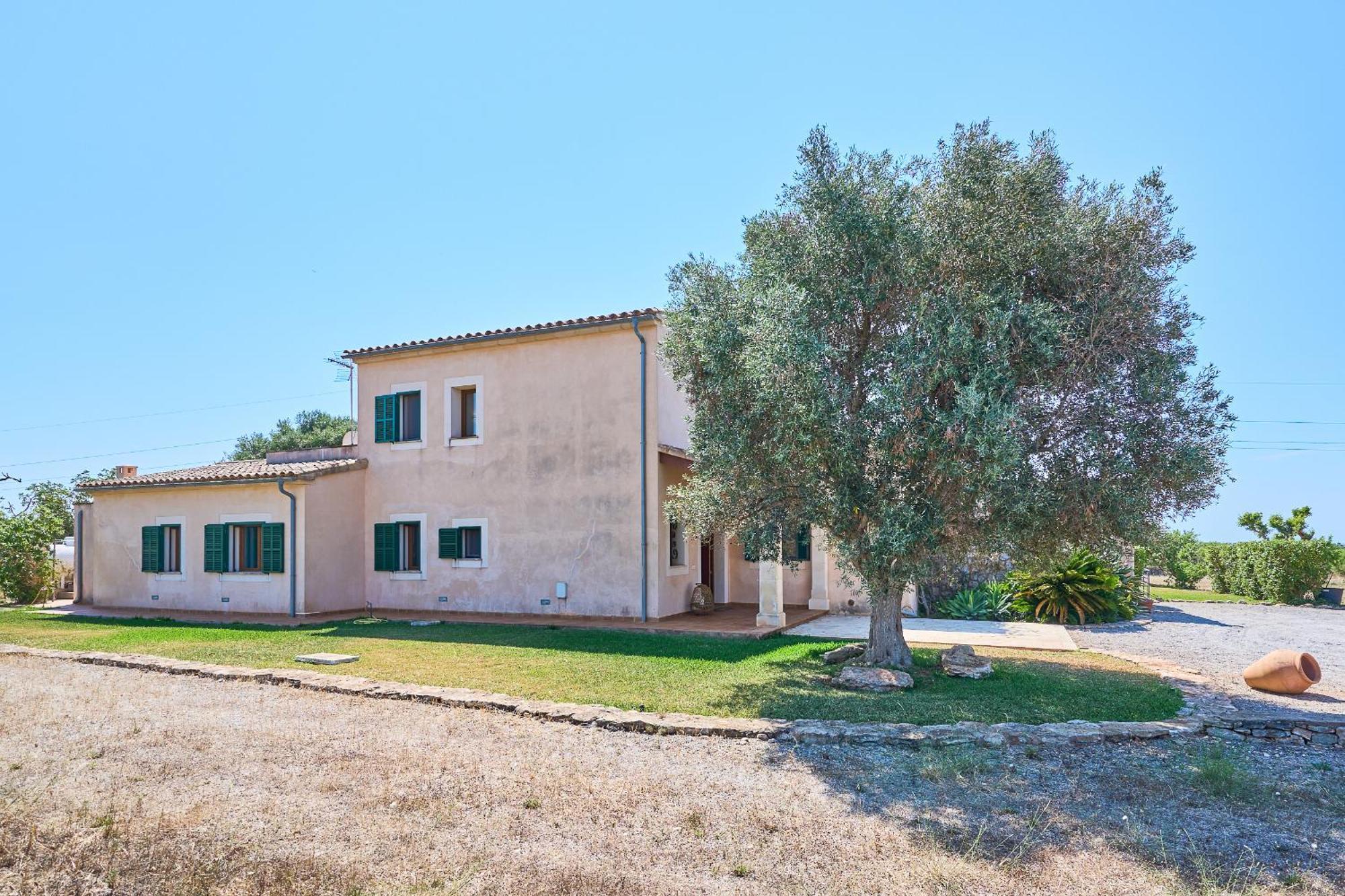 Miralu * Calonge (Mallorca)
